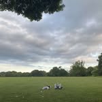 Daniel Denham - @daniel_denham38 - Instagram
