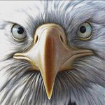 Daniel Denson - @daniel_a_denson - Instagram