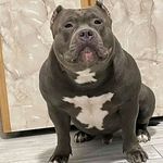 Daniel Denson - @denson1227 - Instagram