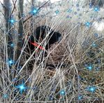 Daniel Depew - Facebook