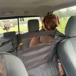 Daniel Deppen - @danken069 - Instagram