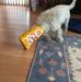 Daniel Devaney - Facebook
