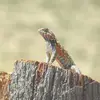 Daniel Dewey - @daniel.dewey - TikTok