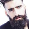 DanielDiBella - @danieldibella0 - TikTok