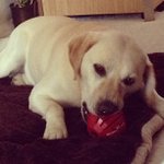 Daniel Dickman - @aleclast - Instagram