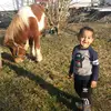 Daniel diego - @user5045186166337 - TikTok