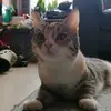 Daniël Diehl - @daniel_diehl - TikTok