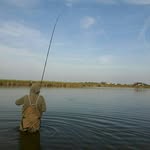 Daniel Dieleman - @carpadventuresnl - Instagram