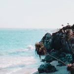 Daniel Diemer - @diemer_portraits - Instagram