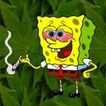 Daniel Diener - @nigga4life8 - Instagram