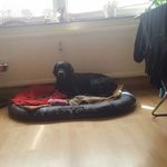Daniel diener - @danieldiener - Instagram
