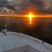 Daniel Dier - Facebook