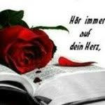 Daniel Diesinger - @danieldiesinger - Instagram