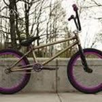 Daniel Diesel - @daninhodiesel - Instagram
