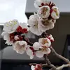 Daniela Dietl - @daniela.dietl - TikTok