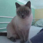 Daniel dietze - @daniel.dietze.167 - Instagram