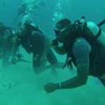 Antonio Daniel Diggins Jr - @antoniodiggins - Instagram