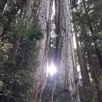 Daniel Digiano - @danieldigiano - Instagram