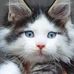 Daniel Dik - Facebook