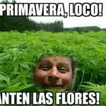 Daniel Di-lauro - @danieldilauro - Instagram