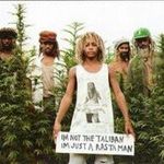 Daniel Dillingham - @dillinghamdaniel - Instagram