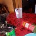 Daniel Di Loreto - Facebook