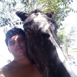 Daniel.diloreto4252 - @daniel.diloreto4252 - Instagram