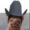 Daniel Dimas - @danieldimas85 - TikTok