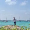 danieldimarco197 - @danieldimarco197 - TikTok