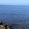 Daniela Di Mattia - @daniela.di.mattia - TikTok