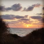 Daniel Diner - @daniel_3213d - Instagram