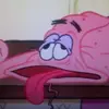 Bob_the_Wizard - @danielmcdinkelburger - TikTok