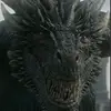 Daniela.Dippel - @danieladippeloidavpa - TikTok