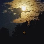 Daniel Dirks - @daniel.dirks.7186 - Instagram