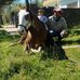 Daniel Di Santo - Facebook