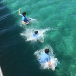 DanTheMan - @daniel.di.santo77 - Instagram
