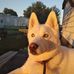 Daniel Dishong - Facebook