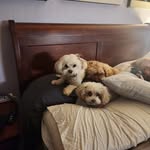 Daniel Disney - @ddisney24 - Instagram