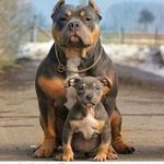 DANIEL DISTEFANO - @daniel_distefano74 - Instagram