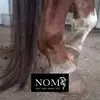 danieladittmer207 - @danieladittmer207 - TikTok