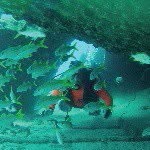 Daniel Naranjo, Instructor buceo y apnea  entrenador  Rugbh sub - @danieldivers_ - Instagram