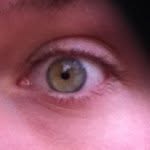 Daniel Doak - @dadoak2000 - Instagram