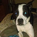 Daniel Dobbins - @dobbinsdaniel - Instagram
