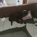 Daniel Dobias - @daniel.dobias.12 - Instagram