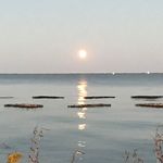 Daniel Doderer - @doderer777 - Instagram