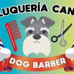 DogBarber Daniel - @dogbarberdaniel - Instagram