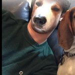 Daniel Doheny - @dohenyd - Instagram