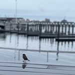 Daniel Dolan - @djd_ten03 - Instagram