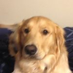 Daniel Dolan - @djdolan517 - Instagram