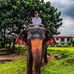 Daniel Dolansky - Facebook